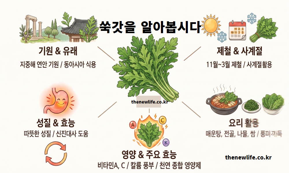쑥갓 효능 유래 기원