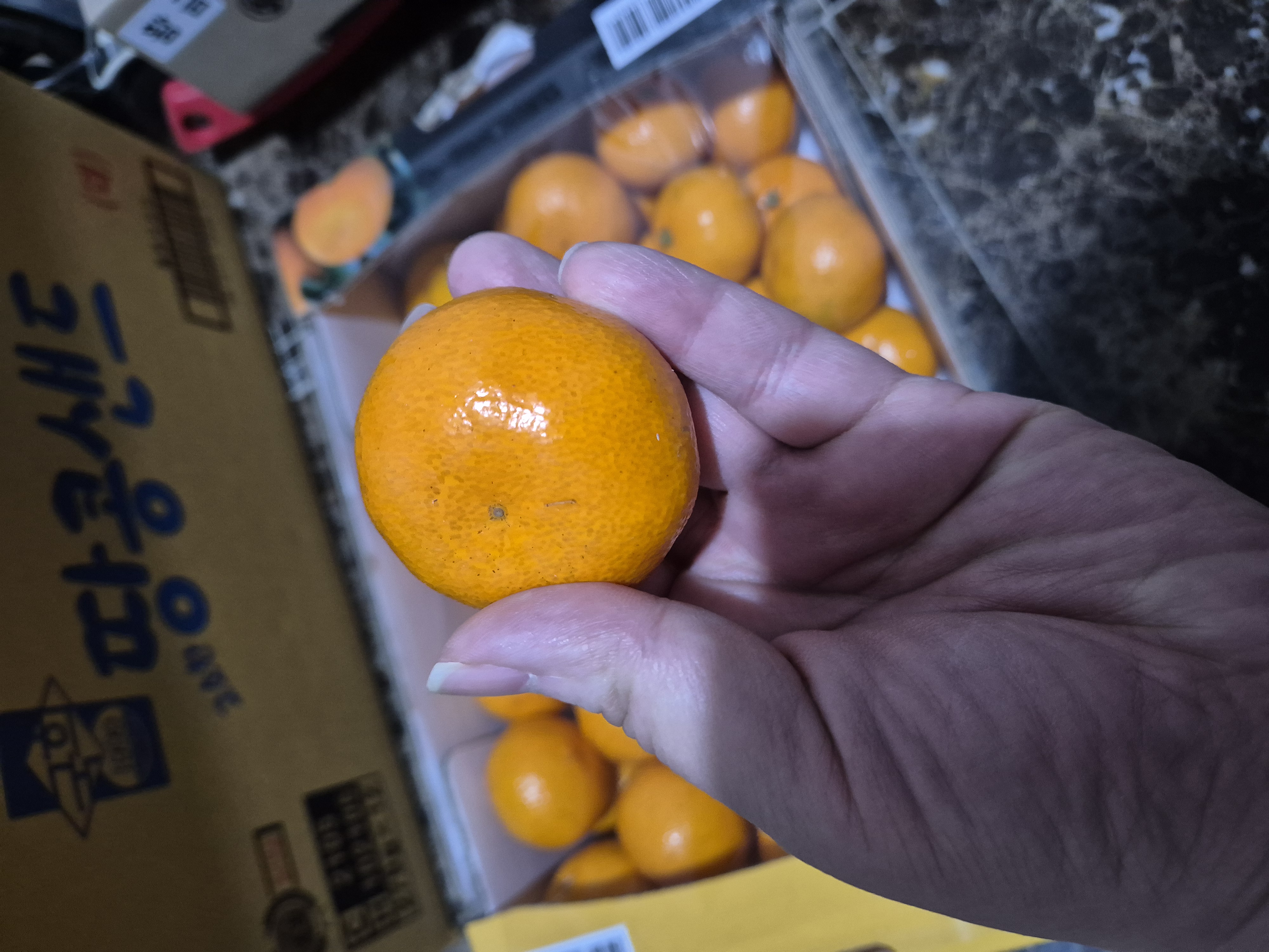 빛깔좋고, 뒷면 가운데 옴폭들어간게 맛있는귤