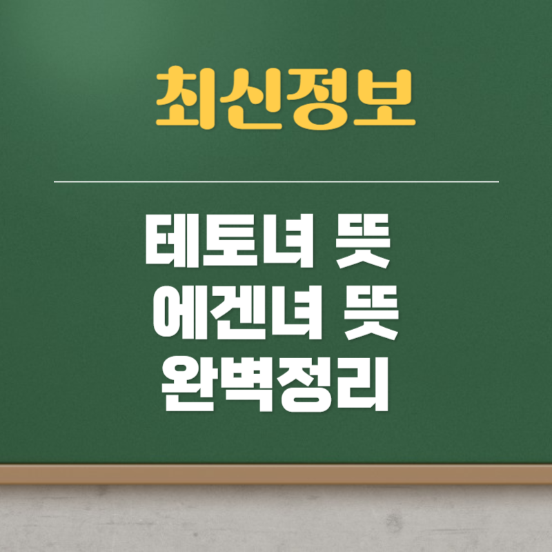 테토녀 뜻
