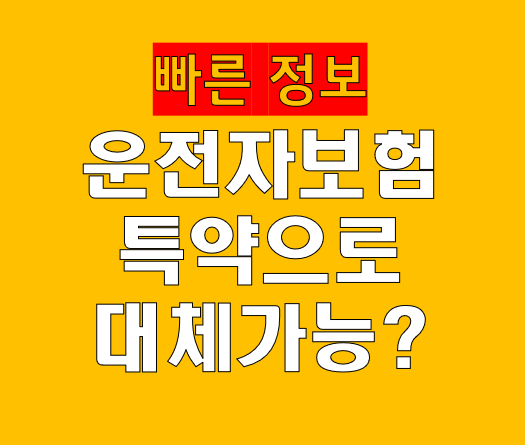 자동차보험 특약으로 대체 가능한 운전자 보장 정리