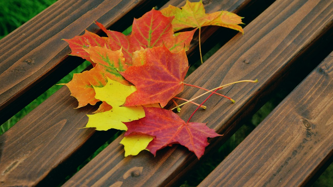 카페보다 좋은 힐링장소