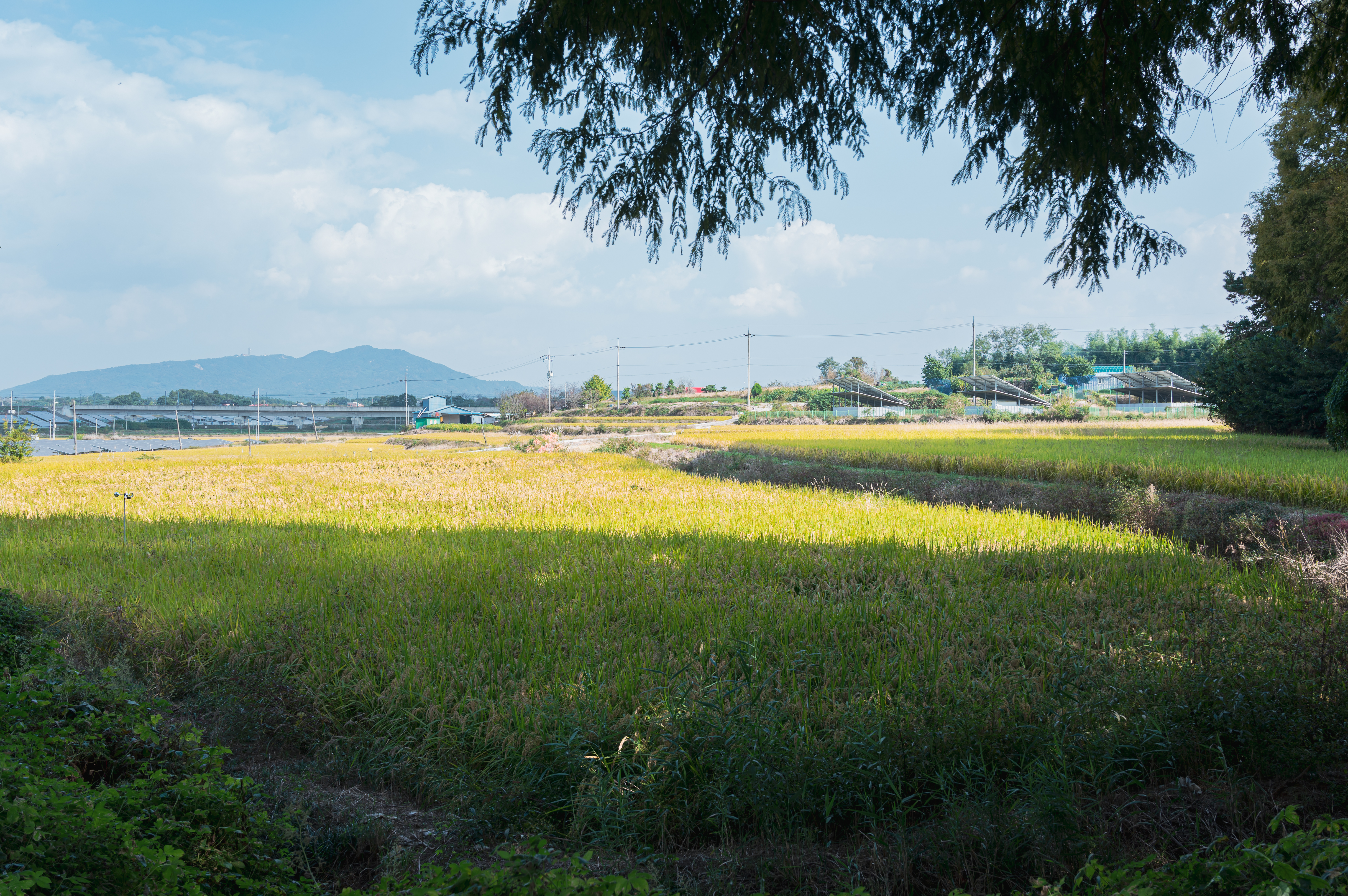 ์๊ฐํ ์ ์