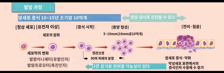 암 치료가 어려운 이유