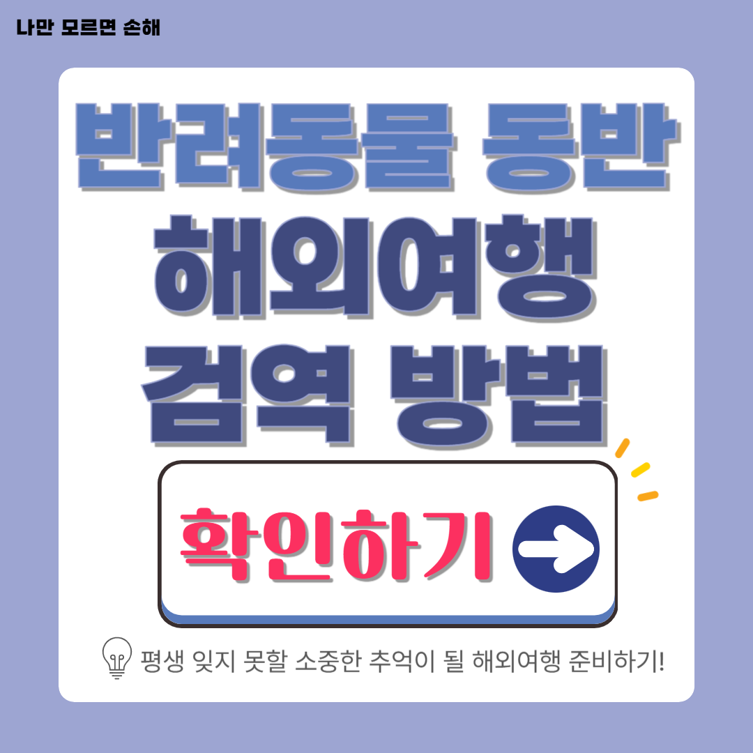 반려동물 동반 해외여행 검역 방법 총정리