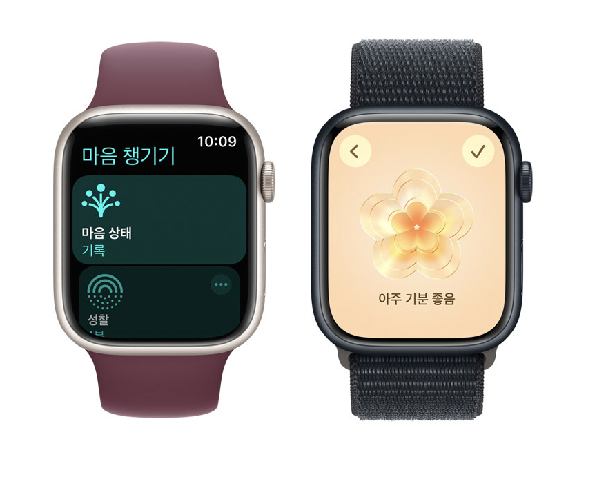 애플워치9 출시일