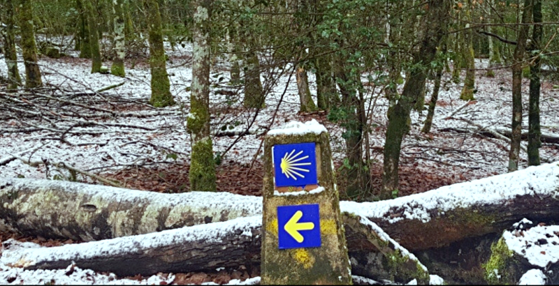 산티아고-순례길-눈이-오는-풍경-사진