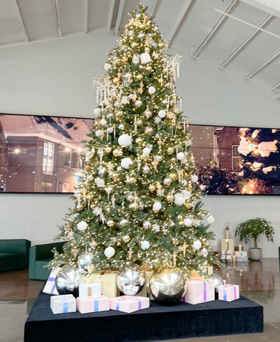 파주 해브펀베이커리카페 트리