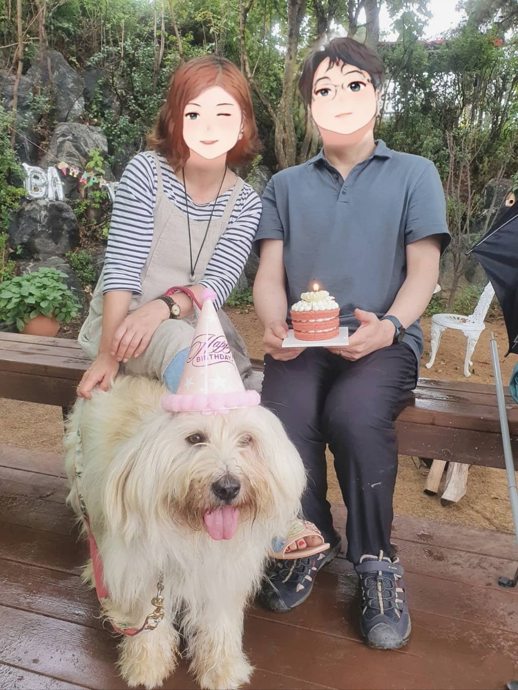 #제니는 삽살개