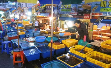 속초관광수산시장-해산물