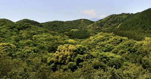제주도 유네스코 세계자연유산 거문오름