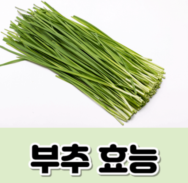 부추 효능 부작용
