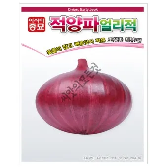 적양파 재배 모종 심기 재식 거리 질소 과다 주의_7