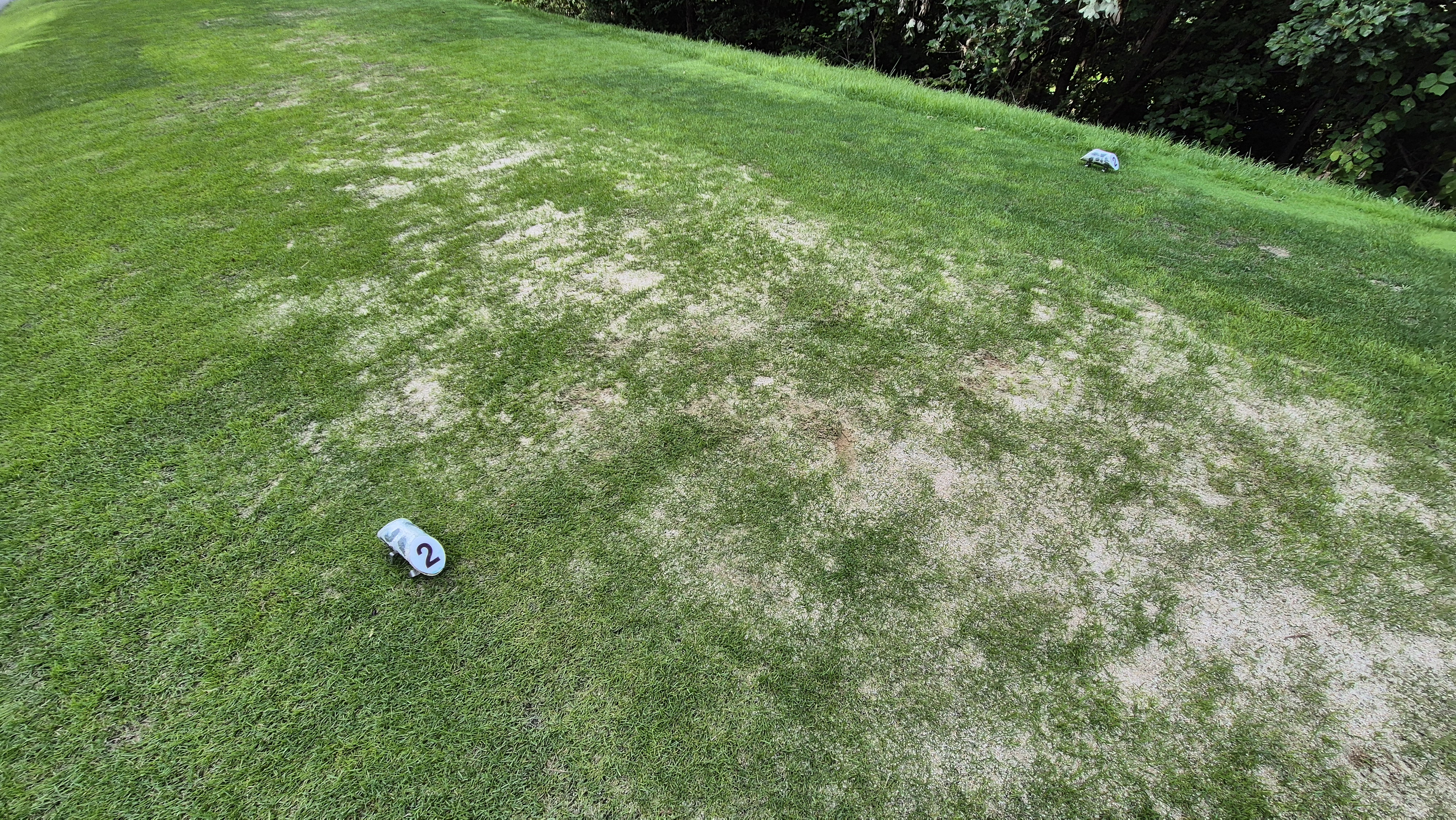 세일cc 들길-산길 코스 라운드 후기