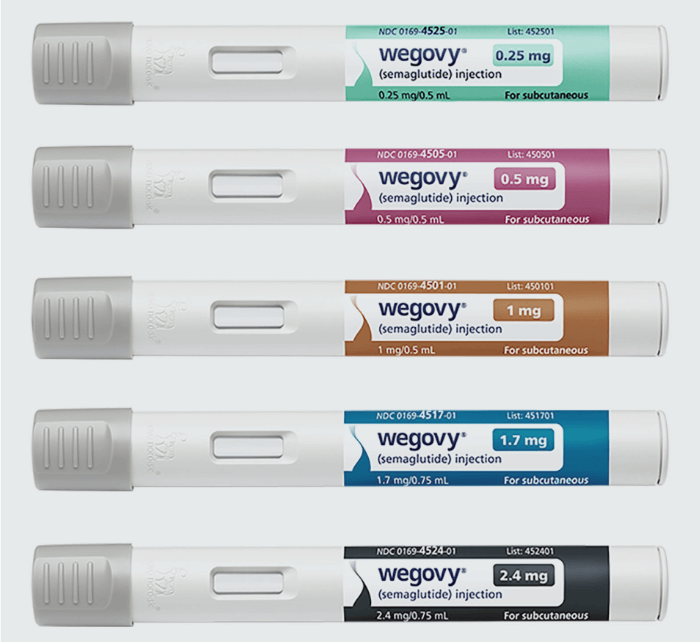 2024 위고비 국내 가격 출시일 효과 부작용 처방 출시 비급여 다이어트 비만치료제 FAQ 삭센다 차이점