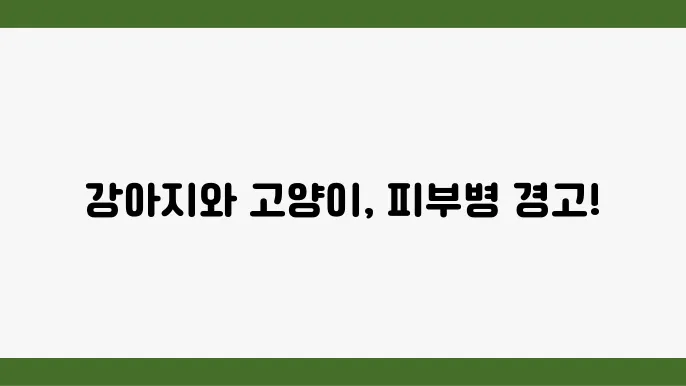 강아지와 고양이의 피부병 증상과 예방 방법
