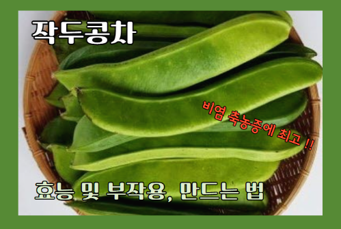 작두콩차 효능 10가지 및 부작용과 먹는 법&#44; 작두콩차 만드는 법