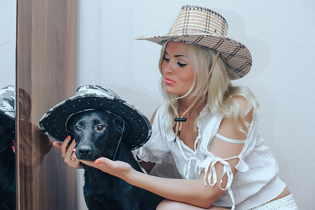 펫케어와 건강관리