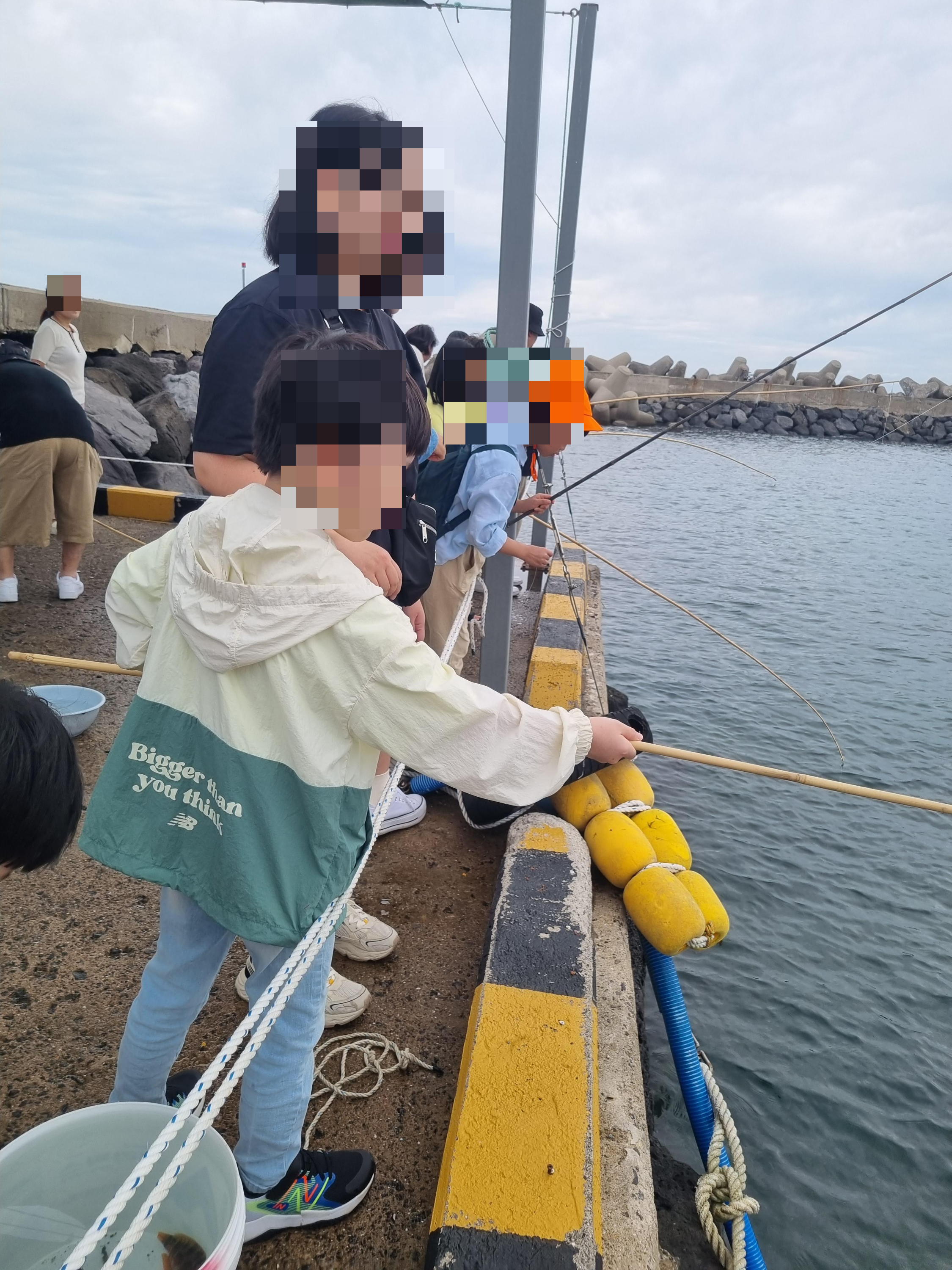 제주돌고래 힐링투어