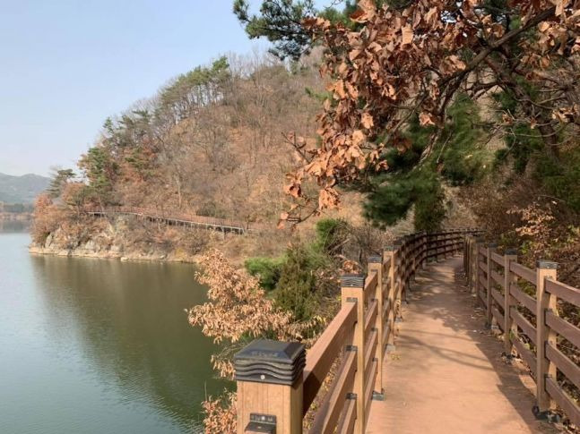 완주 1인 가구 생활비 상세 분석 — “혼자 살기에 얼마나 현실적인 도시인가”