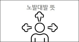 노발대발 뜻