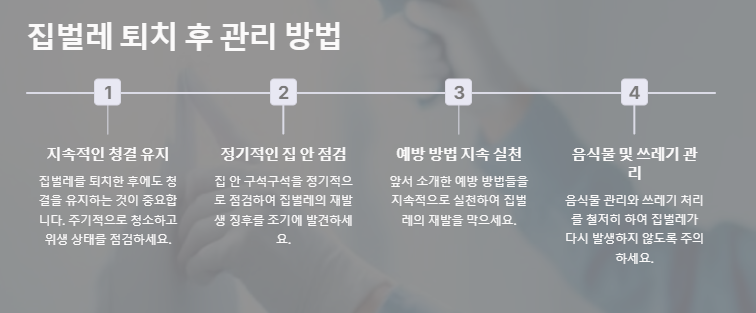 집벌레 퇴치 후 관리 방법