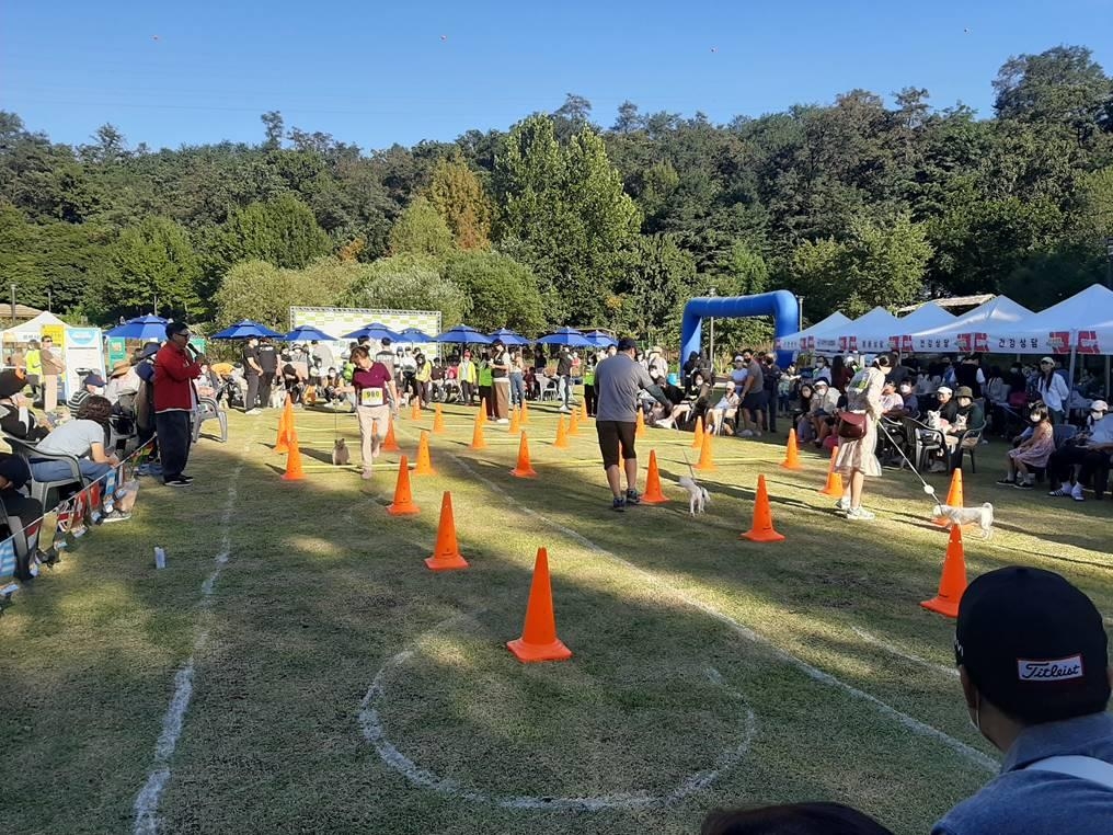 제6회 강동 동물사랑축제