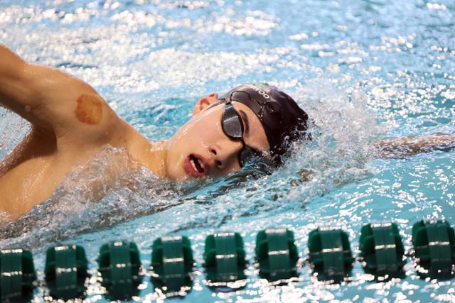 항저우 아시안게임 일정 종목 주요 선수 황선우