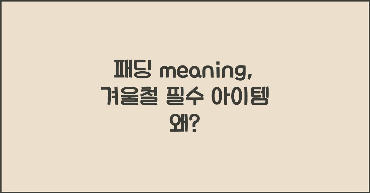 패딩 meaning