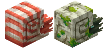 앵무조개 / 좀비 앵무조개