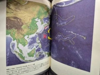 일본의 쓰나미 예언 미스터리_4