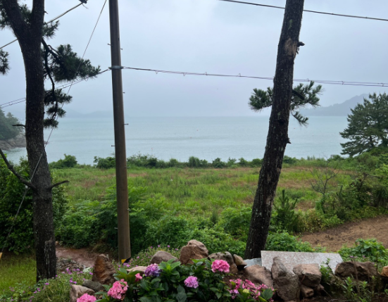 솔고지펜션 정보 안내