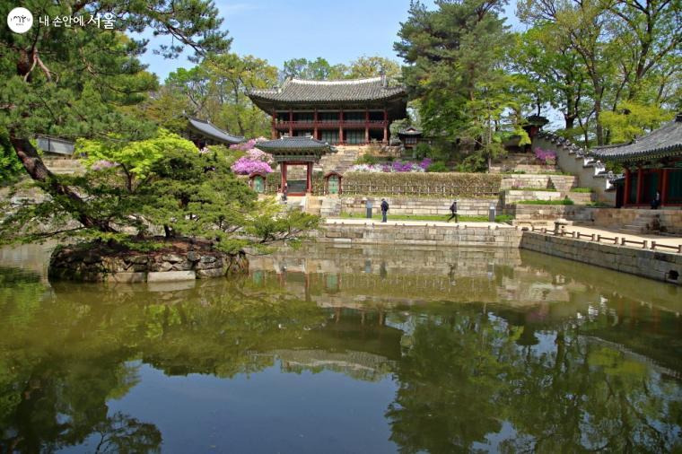 창덕궁 후원 예약