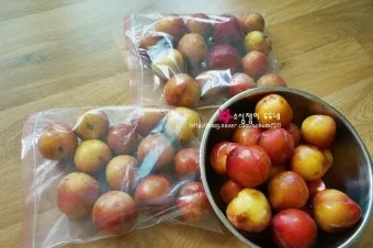 자두 보관법 수확시기 효능 자두청 만들기_24