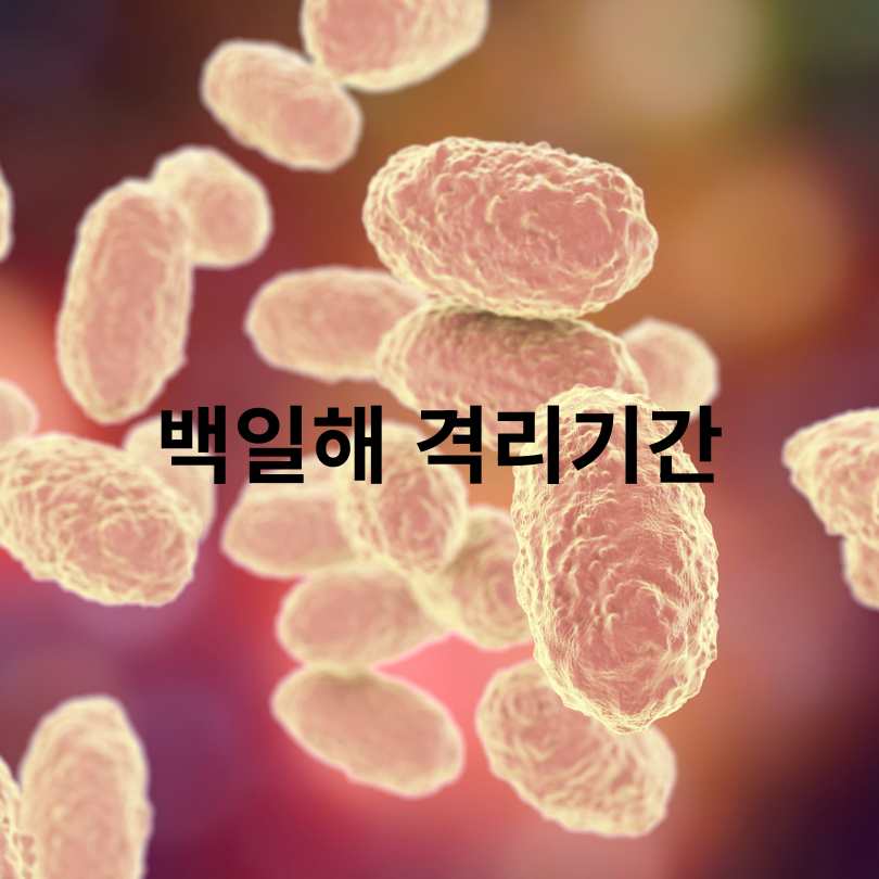 백일해 증상부터 격리기간, 예방접종