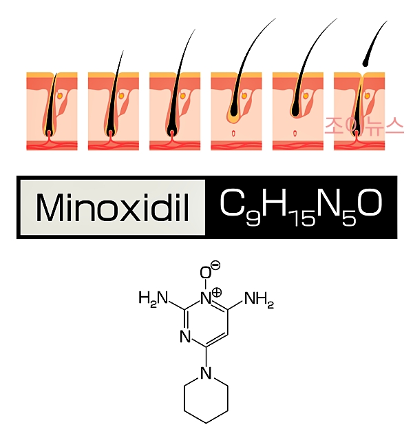 검은콩 핵심 효능, 모발 성장에 필수적인 단백질