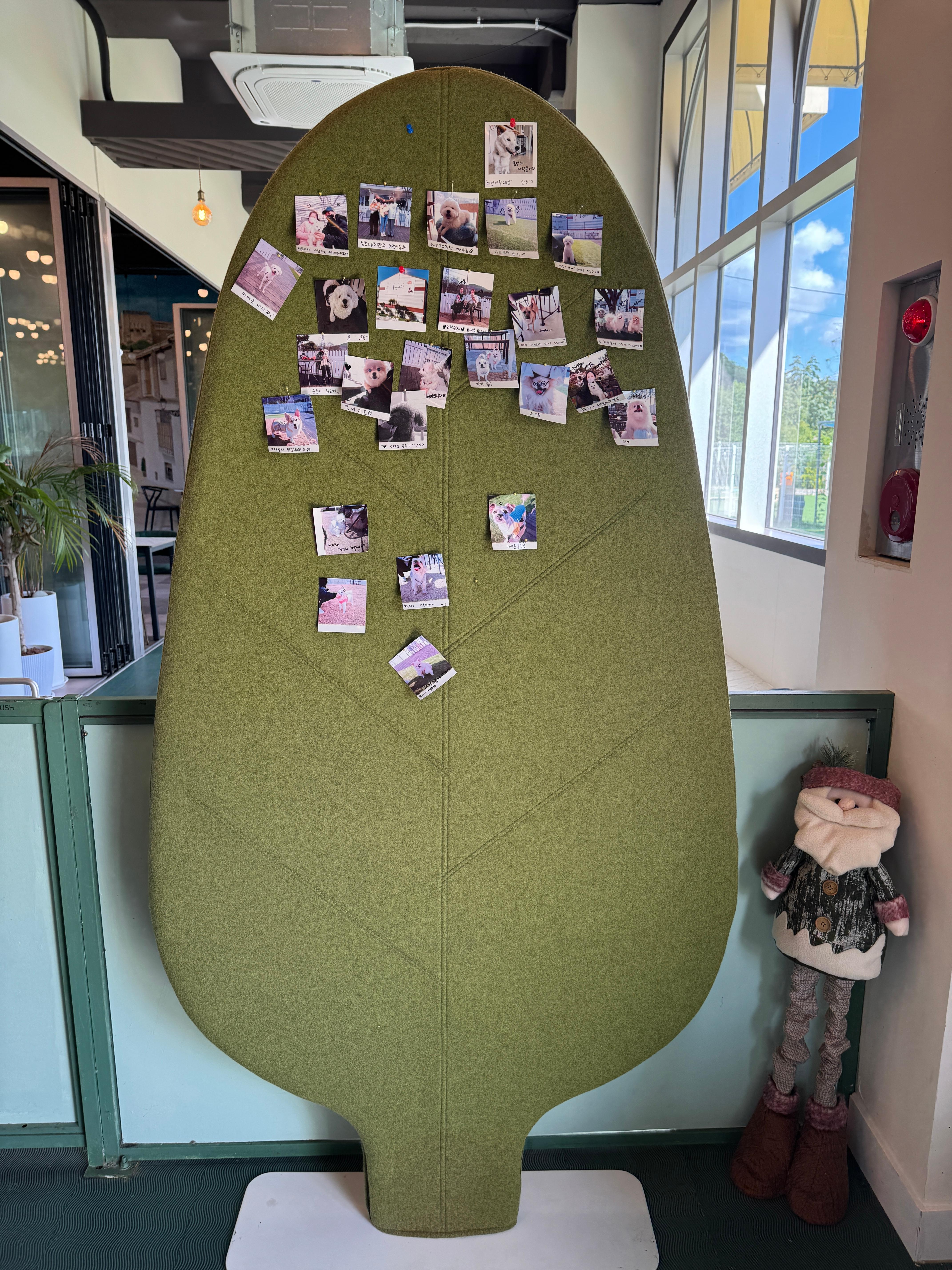 풀멍파크 입구쪽 강아지 사진 붙여놓는 곳 사진