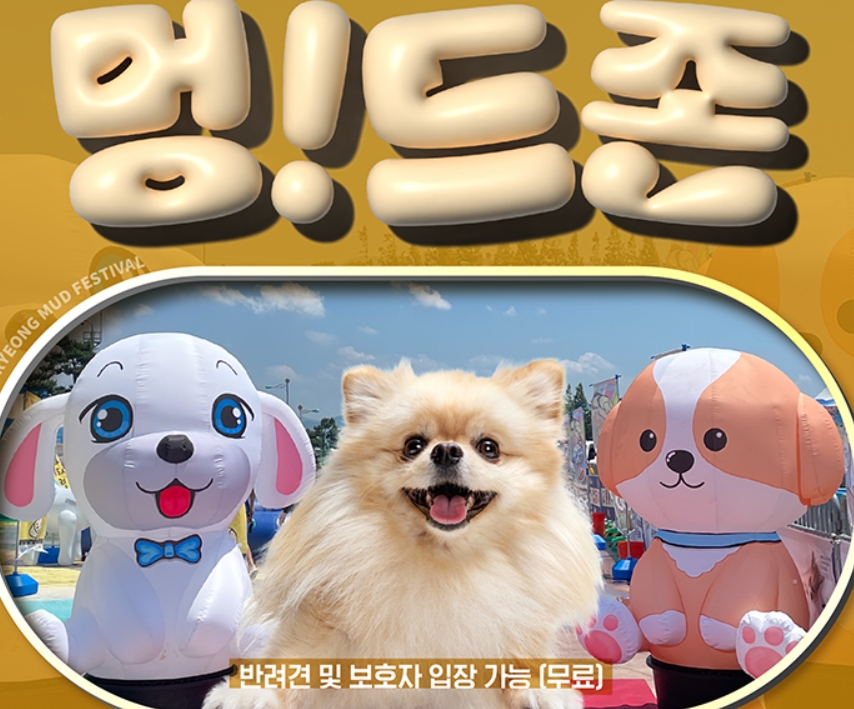 보령머드축제
