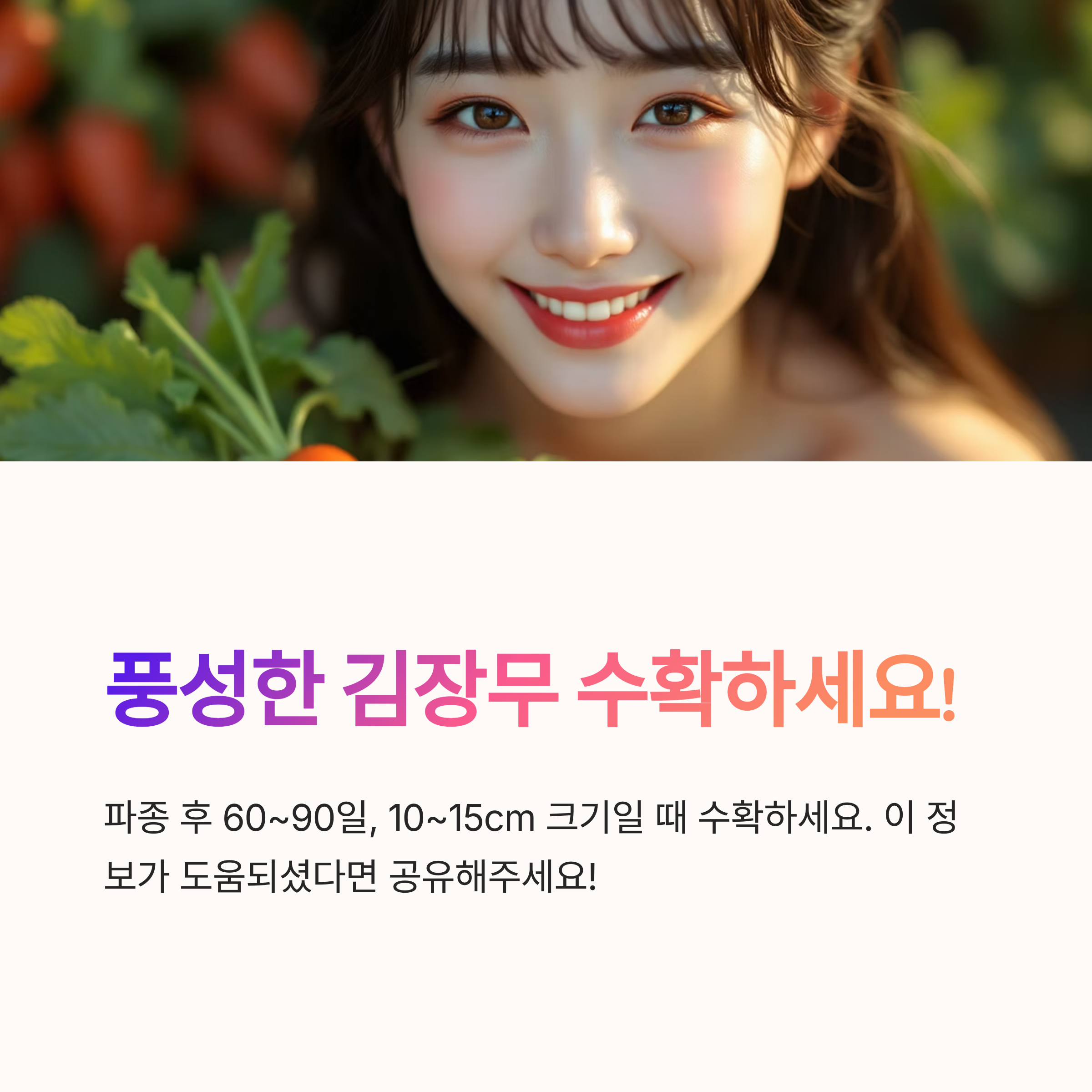 김장무 파종시기