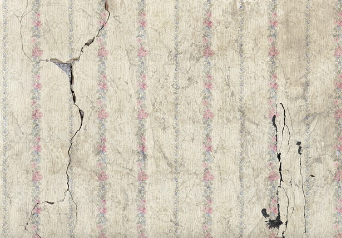 벽지 곰팡이 제거 방법 예방 꿀팁 총 정리