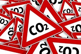 탄소중립실천포인트