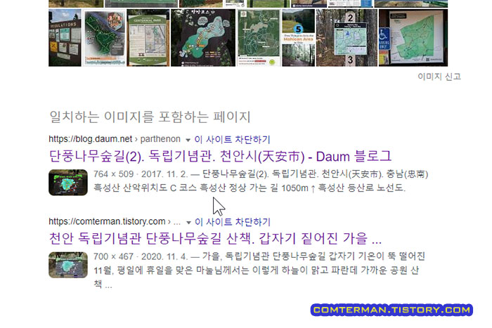 구글 이미지 검색 정확도