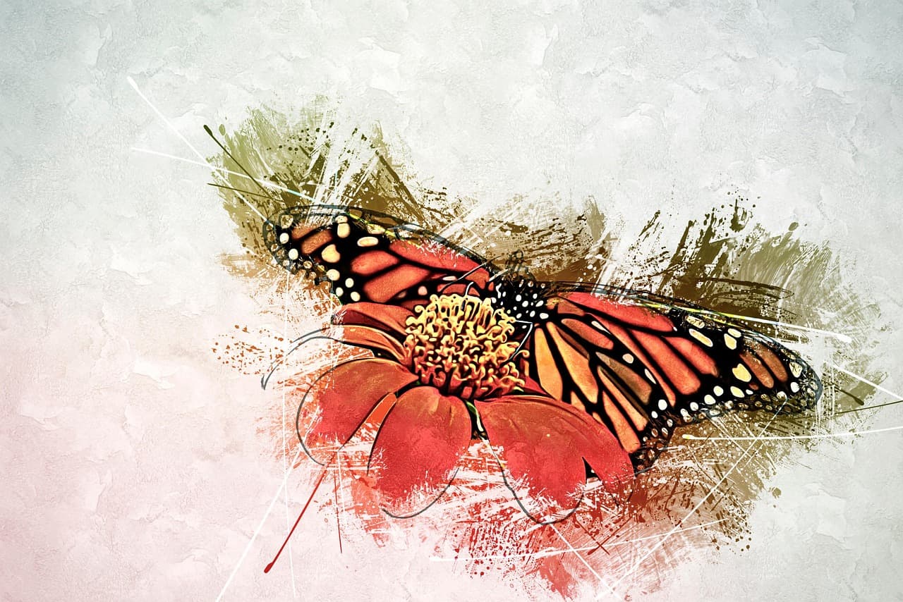 레닝거의문화돌봄이론