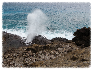할로나 블로우홀