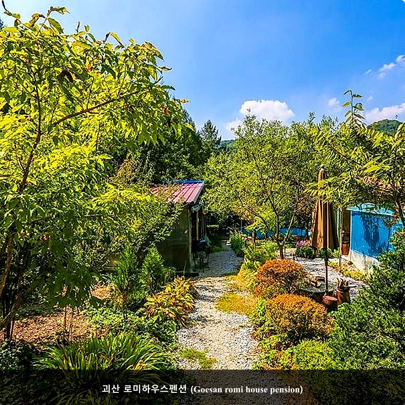 괴산 로미하우스펜션 (Goesan romi house pension)_4