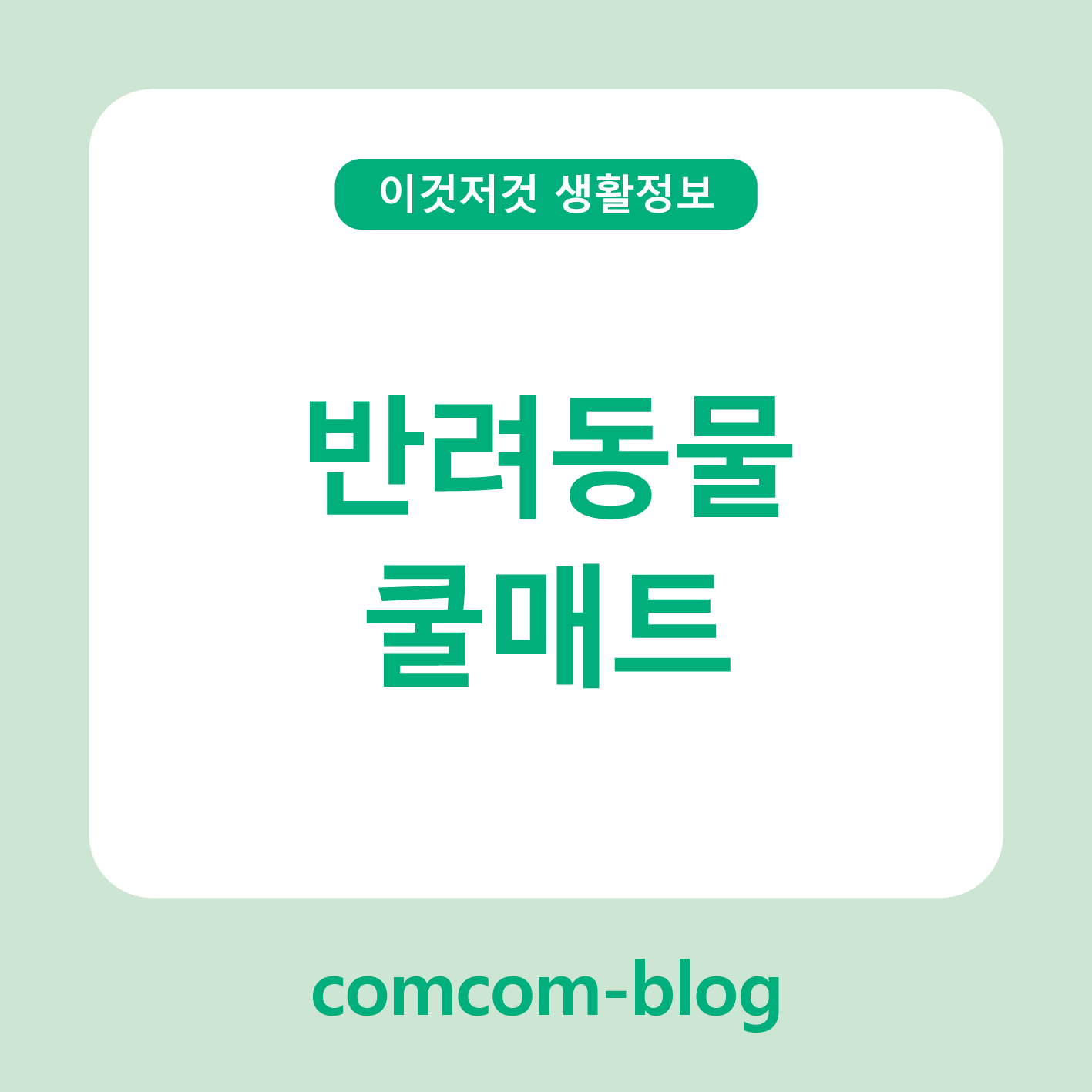 🐾우리 아이 여름 준비, 반려동물 쿨매트로 시원하게!