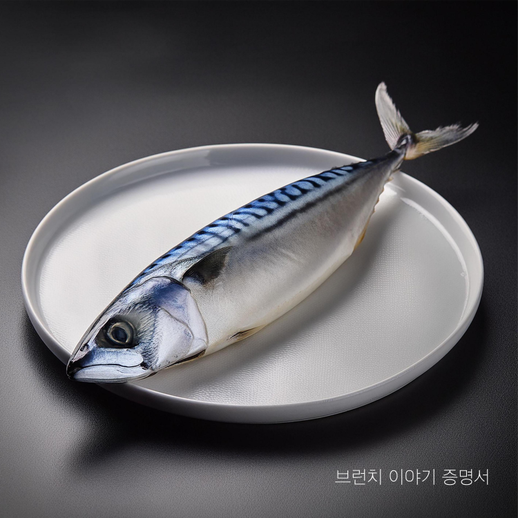 고등어