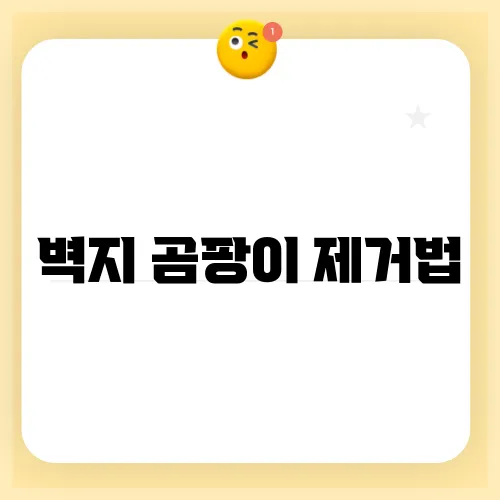 벽지 곰팡이 제거법