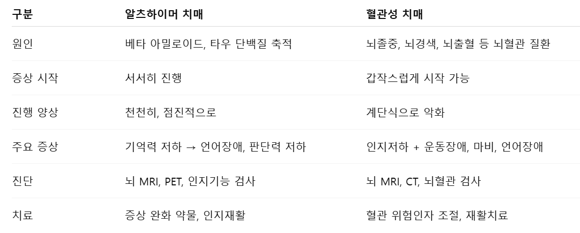 치매의-종류와-비교