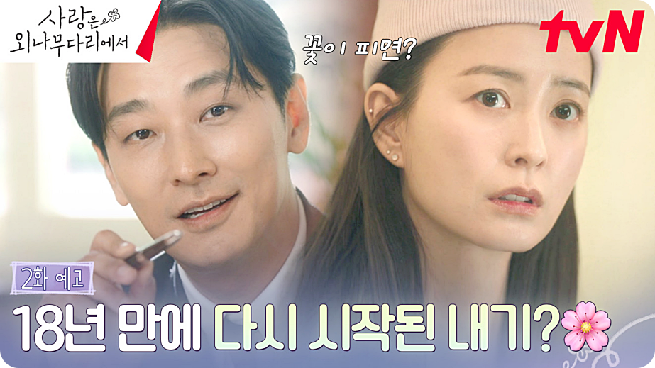 사랑은 외나무다리에서