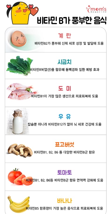 비타민b 음식